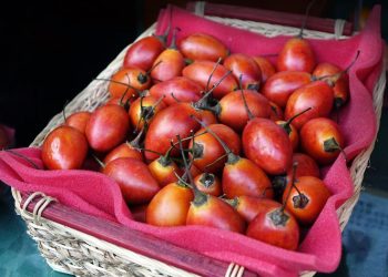 Tips Mengolah Terong Belanda agar Rasanya Lezat dan Nutrisinya Tetap Terjaga