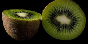 Mengapa Buah Kiwi Bagus Dijadikan Infused Water? Ini Dia Alasannya!