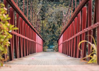 5 Pilihan Destinasi Wisata di Bogor yang Menarik Dikunjungi bersama Anak