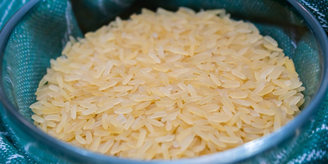 Anak Susah Makan Nasi? Coba Terapkan 5 Cara Sederhana Ini di Rumah