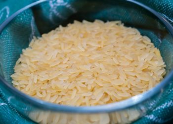 Anak Susah Makan Nasi? Coba Terapkan 5 Cara Sederhana Ini di Rumah