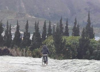 Fenomena Embun Es di Kawasan Dataran Tinggi Dieng Kembali Muncul