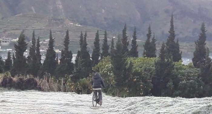 Fenomena Embun Es di Kawasan Dataran Tinggi Dieng Kembali Muncul