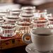 Mengenal Khasiat Kopi Luwak dan Pengaruhnya bagi Kesehatan Tubuh