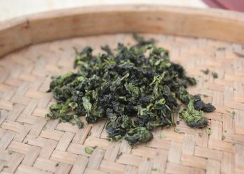 5 Bahan Herbal yang Dapat Mendukung Kesehatan Otak Anak Sejak Dini