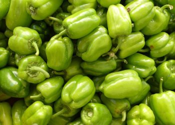 Alasan di Balik Paprika Hijau Bagus untuk Kesehatan Ginjal