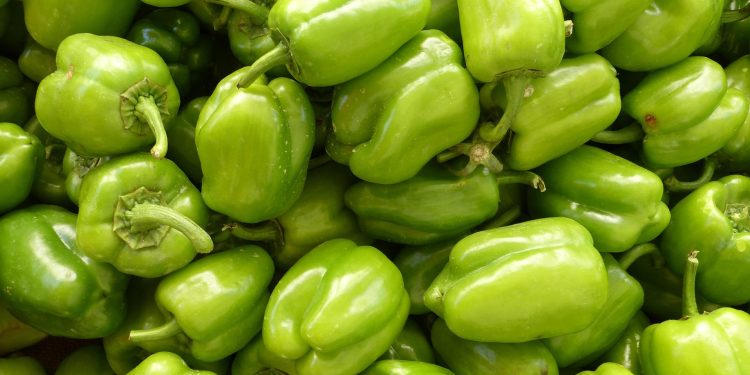 Alasan di Balik Paprika Hijau Bagus untuk Kesehatan Ginjal