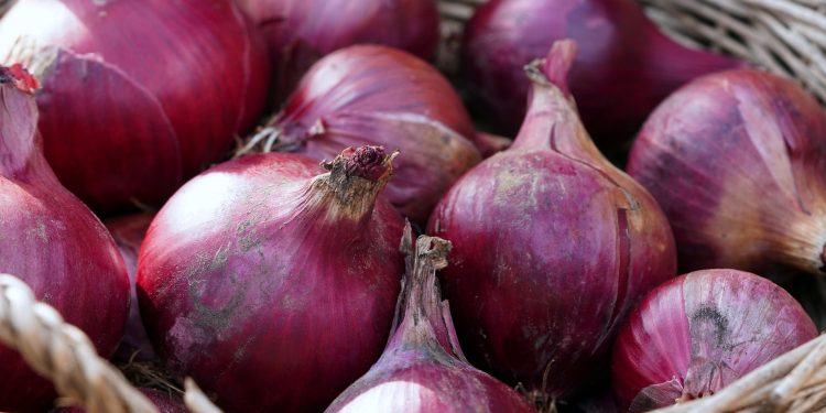 Tips Menyimpan Bawang Merah agar Tetap Segar untuk Bahan Masakan