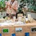 ParagonCorp Mendukung Perlindungan Hutan di Jambi dan Kalimantan