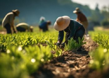 Indonesia Jalin Kerja Sama di Bidang Pertanian dengan China