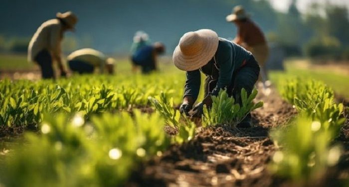 Indonesia Jalin Kerja Sama di Bidang Pertanian dengan China