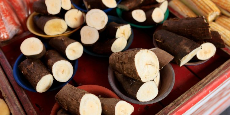 Gula Singkong, Pemanis Alami yang Mulai Dilirik karena Beragam Manfaatnya