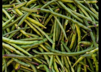 5 Manfaat Kacang Panjang bagi Kesehatan, Sayuran Sederhana yang Kaya Nutrisi
