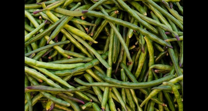 5 Manfaat Kacang Panjang bagi Kesehatan, Sayuran Sederhana yang Kaya Nutrisi