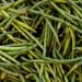 5 Manfaat Kacang Panjang bagi Kesehatan, Sayuran Sederhana yang Kaya Nutrisi