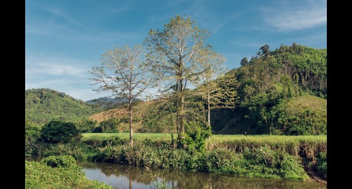 Bagaimana Cara agar Ridha Terhadap Ujian Hidup?