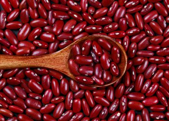 Ini Alasan Mengapa Kacang Merah Bagus untuk Program Diet