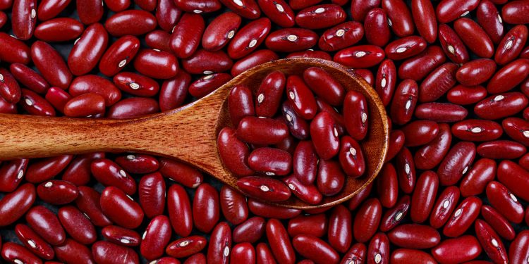 Ini Alasan Mengapa Kacang Merah Bagus untuk Program Diet