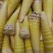 Tips Memasak Rebung agar Tidak Pahit dan Tetap Lezat