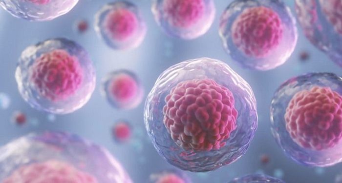 Tips Aman Pilih Fasilitas Terapi Stem Cell