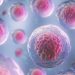 Tips Aman Pilih Fasilitas Terapi Stem Cell