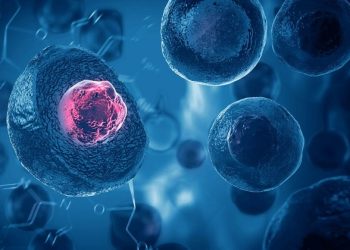 Terapi Stem Cell bisa dari Sel Orang Lain atau Autologus
