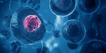 Terapi Stem Cell bisa dari Sel Orang Lain atau Autologus