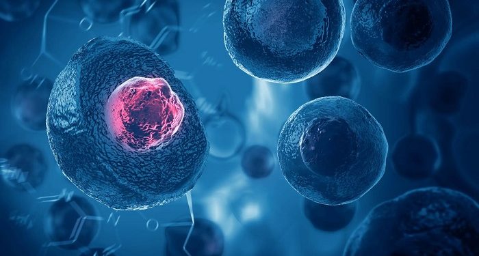 Terapi Stem Cell bisa dari Sel Orang Lain atau Autologus
