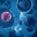 Terapi Stem Cell bisa dari Sel Orang Lain atau Autologus