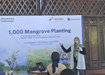 Hari Lingkungan Hidup: Edukasi Lingkungan, Kegiatan Clean Up dan Penanaman Mangrove di TWA Angke, Ayo Less Waste Berhasil Tangani 26 Kilogram Sampah