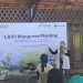 Hari Lingkungan Hidup: Edukasi Lingkungan, Kegiatan Clean Up dan Penanaman Mangrove di TWA Angke, Ayo Less Waste Berhasil Tangani 26 Kilogram Sampah