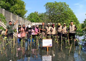 KAI Logistik dan Rumah Zakat Tanam 270 Bibit Mangrove di Marunda