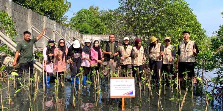 KAI Logistik dan Rumah Zakat Tanam 270 Bibit Mangrove di Marunda