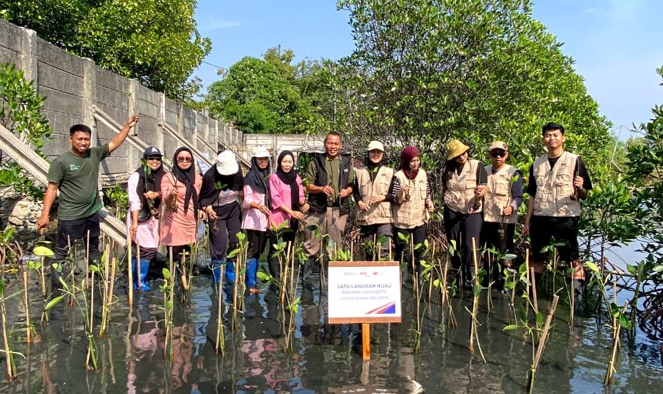 KAI Logistik dan Rumah Zakat Tanam 270 Bibit Mangrove di Marunda