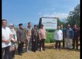 Dompet Dhuafa Luncurkan Kebun Pangan Madaya, Perkuat Ketahanan Pangan Berbasis Filantropi Hijau