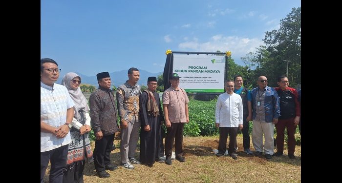Dompet Dhuafa Luncurkan Kebun Pangan Madaya, Perkuat Ketahanan Pangan Berbasis Filantropi Hijau