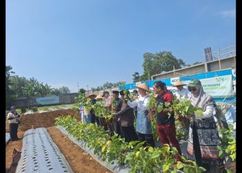 Kebun Pangan Madaya Resmi Diluncurkan, Dompet Dhuafa Dorong Kemandirian Pangan Berbasis Wakaf