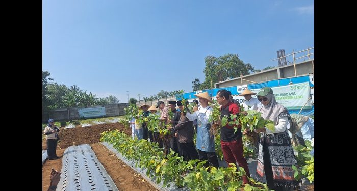 Kebun Pangan Madaya Resmi Diluncurkan, Dompet Dhuafa Dorong Kemandirian Pangan Berbasis Wakaf
