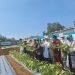 Kebun Pangan Madaya Resmi Diluncurkan, Dompet Dhuafa Dorong Kemandirian Pangan Berbasis Wakaf
