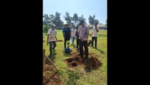 Dompet Dhuafa Luncurkan Kebun Pangan Madaya, Perkuat Ketahanan Pangan Berbasis Filantropi Hijau