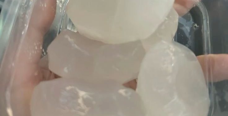 Ketahui Manfaat Buah Lontar untuk Mendukung Program Hamil, Benarkah Efektif?