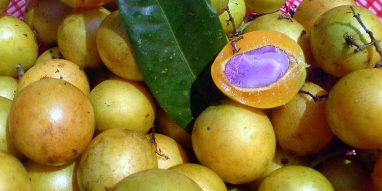 Bukan Sekadar Asam Segar, Ini Manfaat Buah Gandaria yang Baik untuk Ibu Hamil