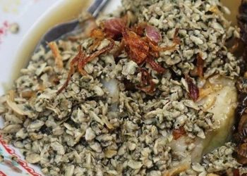 Beragam Manfaat Kupang untuk Kesehatan Tubuh