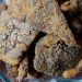 Tips Memasak Paru Sapi agar Empuk, Tidak Bau, dan Bumbu Meresap Sempurna