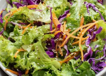 Salad Wrap Sehat untuk Bekal Anak Sekolah ala JSR