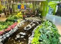 5 Wisata Kuliner Viral Murah Dekat Stasiun Gambir yang Wajib Dicoba