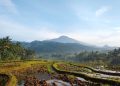 Gunung Munara Destinasi Pendakian Singkat dengan Panorama Menawan di Bogor