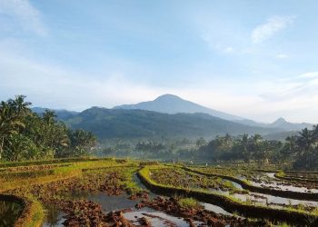 Gunung Munara Destinasi Pendakian Singkat dengan Panorama Menawan di Bogor
