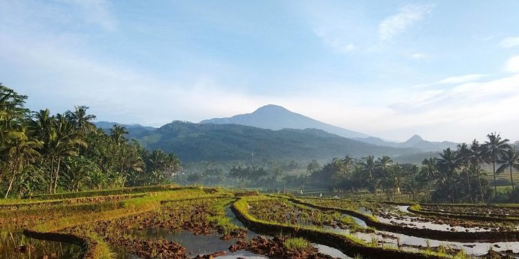 Gunung Munara Destinasi Pendakian Singkat dengan Panorama Menawan di Bogor