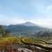 Gunung Munara Destinasi Pendakian Singkat dengan Panorama Menawan di Bogor